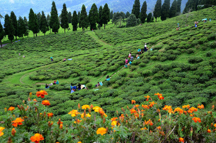 Nature and hilltop tour packages  